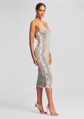 Isabella Sequin Crochet Dress