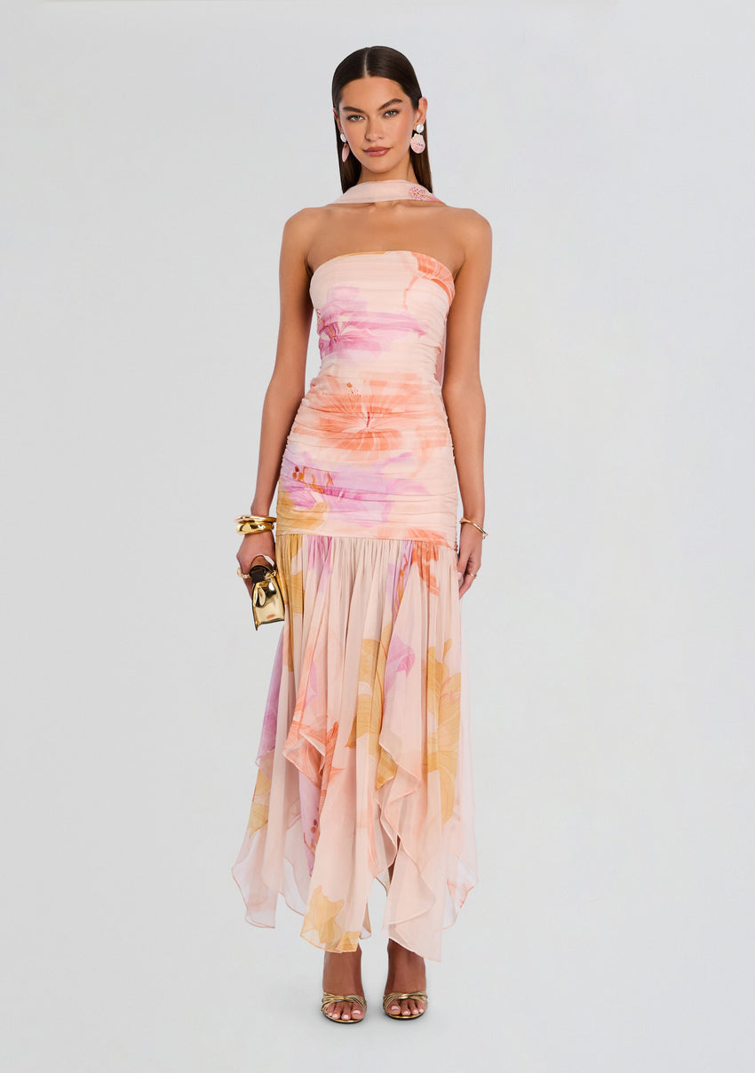 Teryn Silk Chiffon Dress