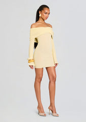 Xen Knit Mini Dress
